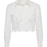 Seychelle Cropped Button Down