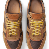 Multi Triumph Trainer