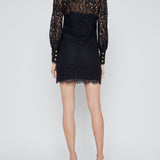 Sakura lace Shift Dress